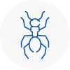 Ant Removals In Denny