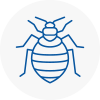 Bed Bug Extermination In Denny