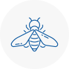 Bee Nest Removal Denny