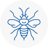 Denny Hornet Nest Removals