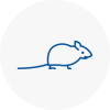Mice Exterminators In Denny