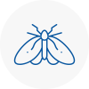 Moth Control Specialists In Denny