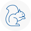Denny Rodent Removals
