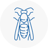 Denny Wasp Nest Removal